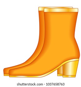 Illustration of the boot pair with gold heels