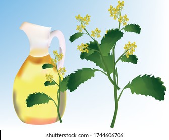 illustration of a bootle of mustard oil, next to a branch of a mustard with leaves and flowers, on a white-blue background