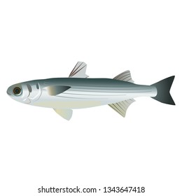 Illustration of the bora