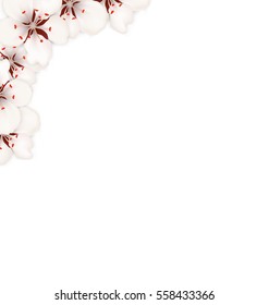 Illustration Border Made in Sakura Flowers Blossom Isolated on White Background - Vector