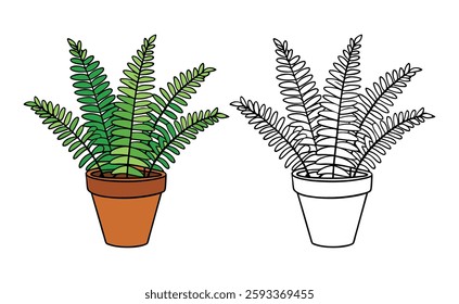 Illustration of Boston Fern Houseplant Design