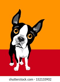 Illustration of a Boston Terrier Dog