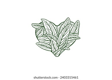 illustration of botanical logo design template. the concept is combination of love or heart shape and leaves arragement. tribal line style with green