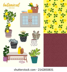 illustration of botanical plants with interior