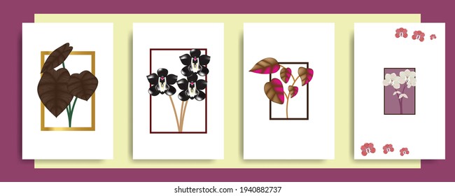 illustration botanical set background poster wallpaper vector template