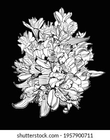 illustration of a bouquet of alstroemeria flowers, vector graphic monochrome illustration, botanical sketch for postcard, posters, notebooks.