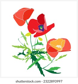 Illustration of a bouquet of flowering poppies.Image on a white and color background.Vector.