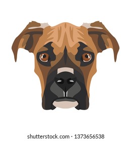 Illustration Boxer | For all Dog owners. What you love about his dog? Puppy dog ​​eyes, wagging tail, smiling, barking. The boxer is a man's best friend.
