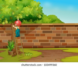 Illustration Of Boy Picking Fruit