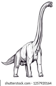 illustration of Brachiosaurus dinosaur sketch vector on white background