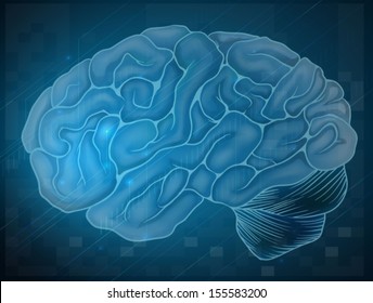 Illustration of a brain