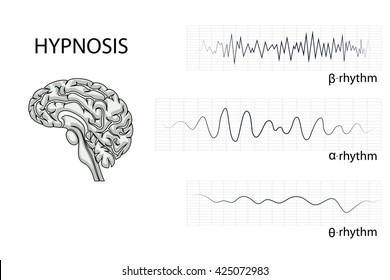illustration of the brain, alpha, beta, and theta rhythm.