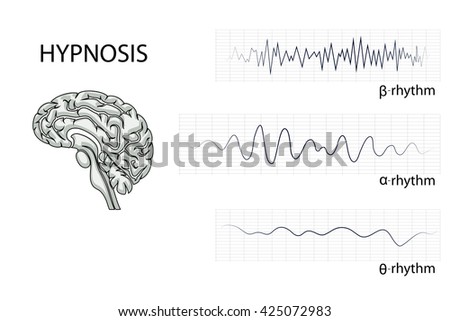 illustration of the brain, alpha, beta, and theta rhythm.