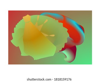 
Ilustración de un cerebro en color degradado