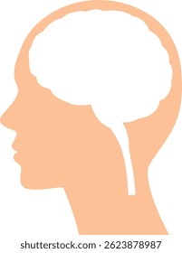 Illustration of the brain inside the human head seen from the side