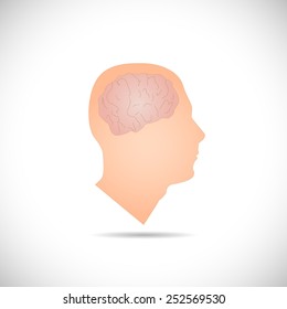 Illustration of a brain inside of a man's head isolated on a white background.