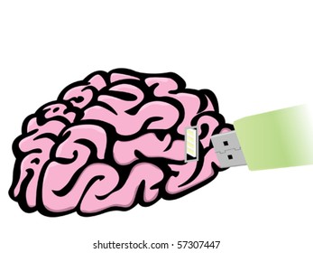 Illustration of brain and USB flash drive isolated on white background