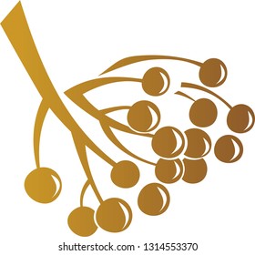 Illustration of branch with berries