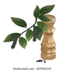 
Illustration Of A Branch Of Black Pepper With Leaves And Peppers, Near A Pepper Shaker With Chili, On A White Background