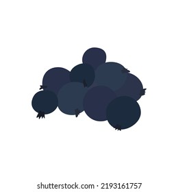 Illustration of a branch of currant, forest blue berries. Vector drawing of fruit for design