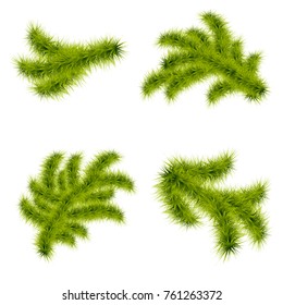 Illustration of branch of New Year's tree 