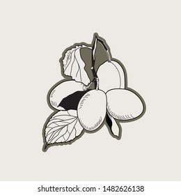 illustration with branch of plum, vector design for paper or fabric