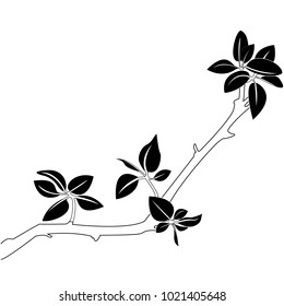 Illustration of a branch. Vector