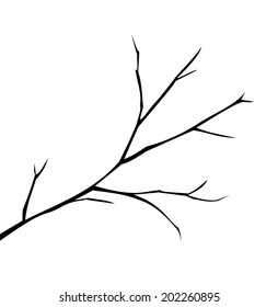 Illustration of a branch vector