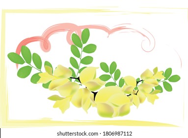 
illustration of a branch of yellow acacia, flowers and leaves of acacia, in the form of a card