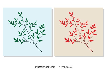 Illustration of a branched leaf with a stalk