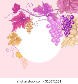 Illustration with branches, berries and leaves of wild grapes and dies for text. Vector. Design for creating greeting cards, greetings, invitations.