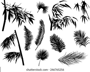 illustration with branches silhouettes isolated on white background