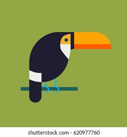 Illustration of brazil toucan in the flat style. Colored.