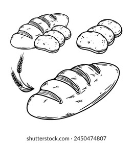 Illustration of a bread in engraving style. Bakery. Vector illustration