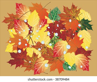 illustration with bright fall foliage background