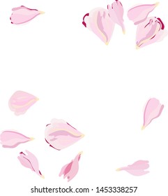  Illustration, bright female floral background with delicate rose petals on white background.Vector.
