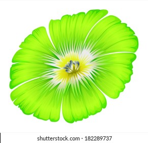 Illustration of a bright green flower on a white background