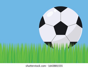 Illustration with bright green grass football blue sky and black and white simple soccer football ball with shadow vector background.