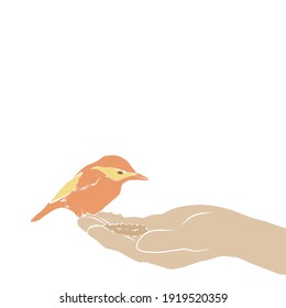 Illustration of bright orange bird sitting on the hand