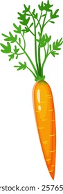 Illustration of a bright orange carrot with lush green leaves, showcasing its fresh and organic appearance. Perfect for themes related to healthy eating and agriculture