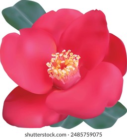 illustration with bright red brier bloom isolated on white background