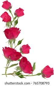 illustration with bright red roses corner isolated on white background