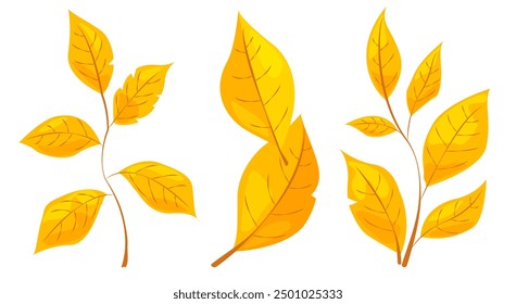 Illustration of bright yellow autumn leaves. Simple graphic style on white background. Concept of autumn and seasonal change. Vector illustration