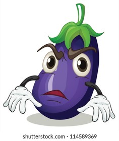 illustration of brinjal on a white background
