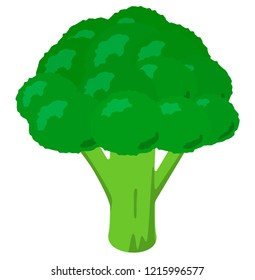 Illustration of broccoli.