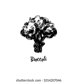 Illustration of broccoli drawn in ink.