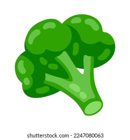 Illustration of broccoli. Image for gastronomy and agricultural industries.