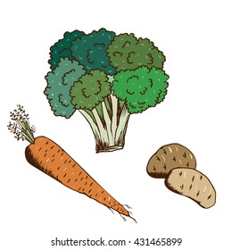 Illustration of broccoli, potato, carrot