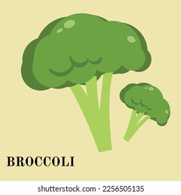 illustration of a broccoli, vector, green, health, soup broccoli, for teacher, banner, illustration, food, power point, flyer, brochure, and comercial use
