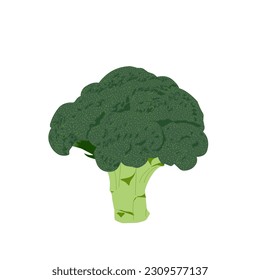 Illustration of broccoli vegetables can be used for elements 